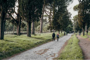 photo of people walking in park 